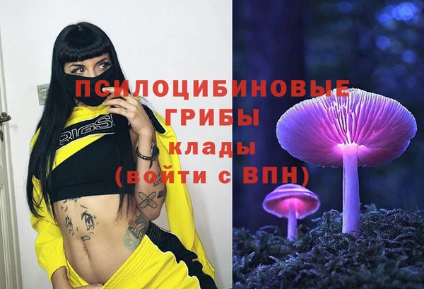 ALPHA PVP Медногорск