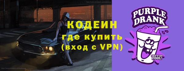 шишки Михайловск