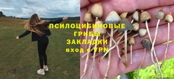МДПВ Медвежьегорск