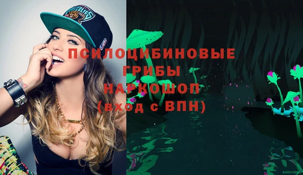 ALPHA PVP Медногорск